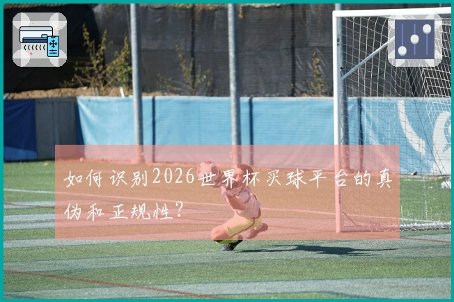 如何识别2026世界杯买球平台的真伪和正规性？