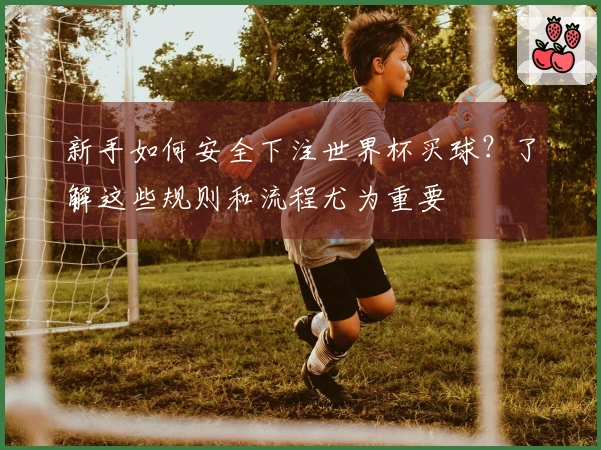 新手如何安全下注世界杯买球？了解这些规则和流程尤为重要