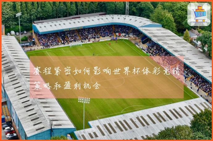 赛程紧密如何影响世界杯体彩竞猜策略和盈利机会