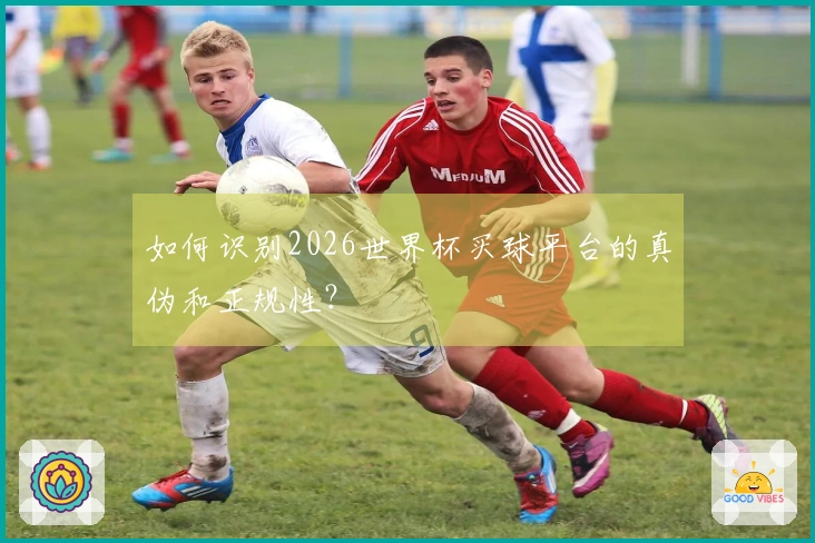 如何识别2026世界杯买球平台的真伪和正规性？