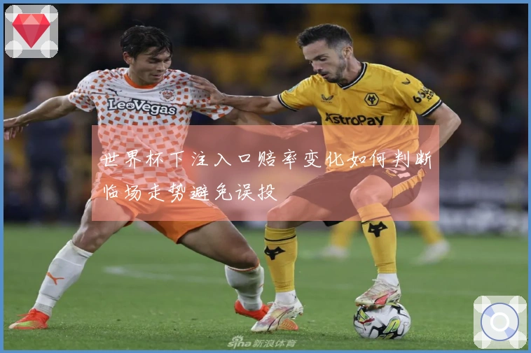 世界杯下注入口赔率变化如何判断临场走势避免误投