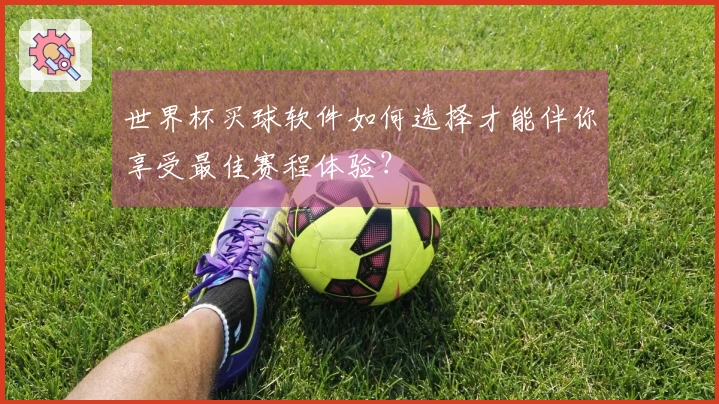 世界杯买球软件如何选择才能伴你享受最佳赛程体验？