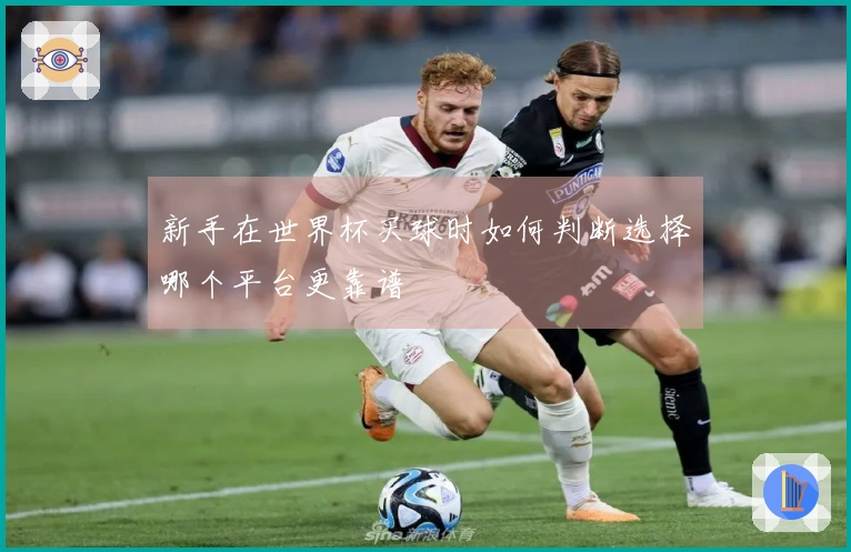 新手在世界杯买球时如何判断选择哪个平台更靠谱