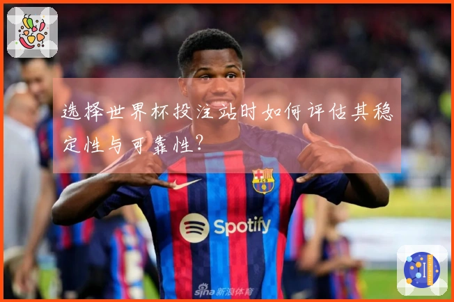 选择世界杯投注站时如何评估其稳定性与可靠性？