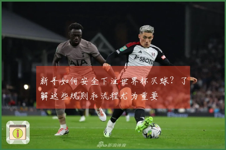 新手如何安全下注世界杯买球？了解这些规则和流程尤为重要