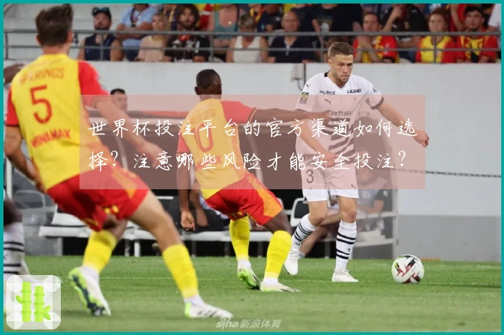世界杯投注平台的官方渠道如何选择？注意哪些风险才能安全投注？