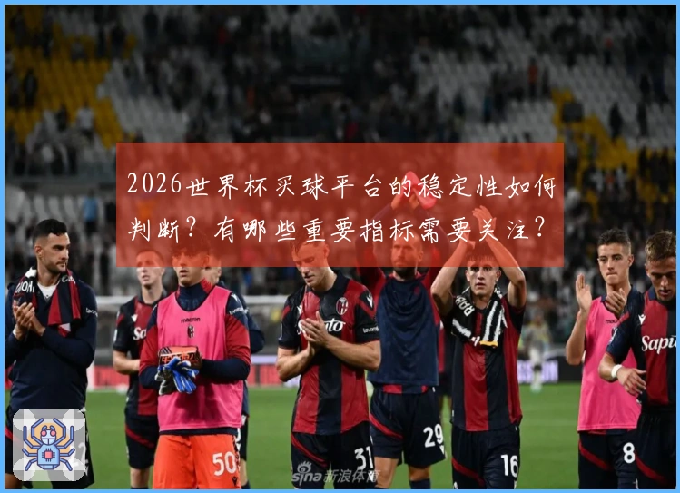 2026世界杯买球平台的稳定性如何判断？有哪些重要指标需要关注？