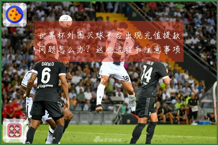 世界杯外围买球平台出现充值提款问题怎么办？这些流程和注意事项要了解