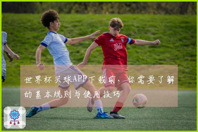 世界杯买球APP下载前，你需要了解的基本规则与使用技巧