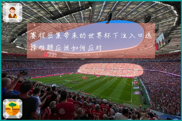 赛程密集带来的世界杯下注入口选择难题应该如何应对