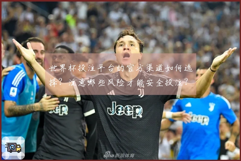 世界杯投注平台的官方渠道如何选择？注意哪些风险才能安全投注？