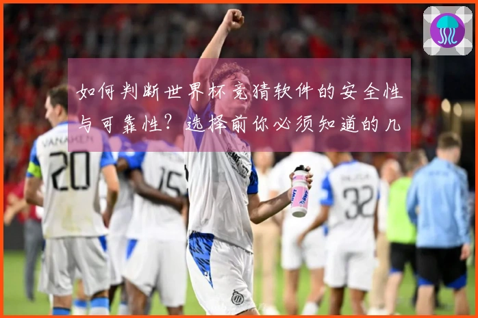 如何判断世界杯竞猜软件的安全性与可靠性？选择前你必须知道的几个要点