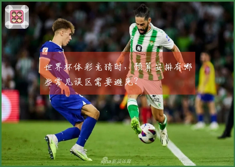 世界杯体彩竞猜时，预算安排有哪些常见误区需要避免？