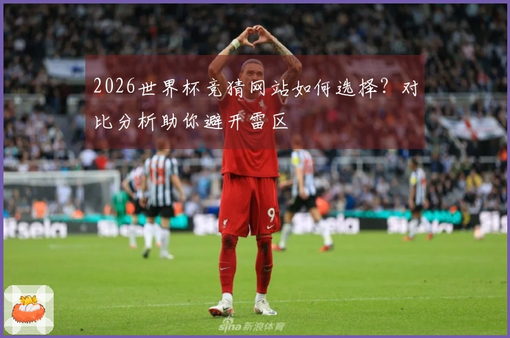 2026世界杯竞猜网站如何选择？对比分析助你避开雷区